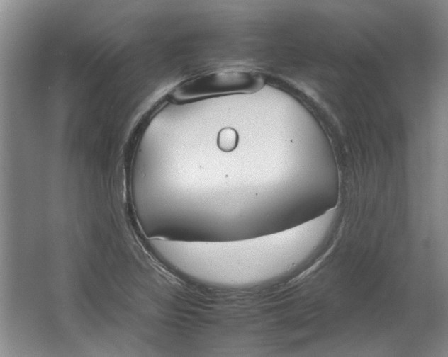 X0000064041317200602101414