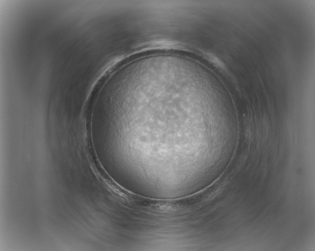 X0000064041318200602101414