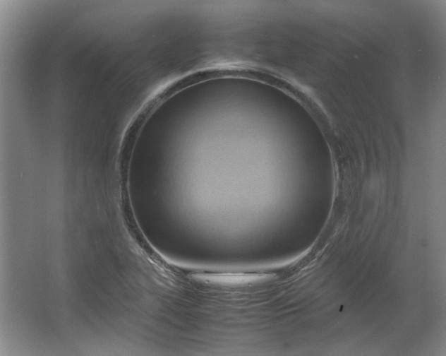 X0000064041319200602101414