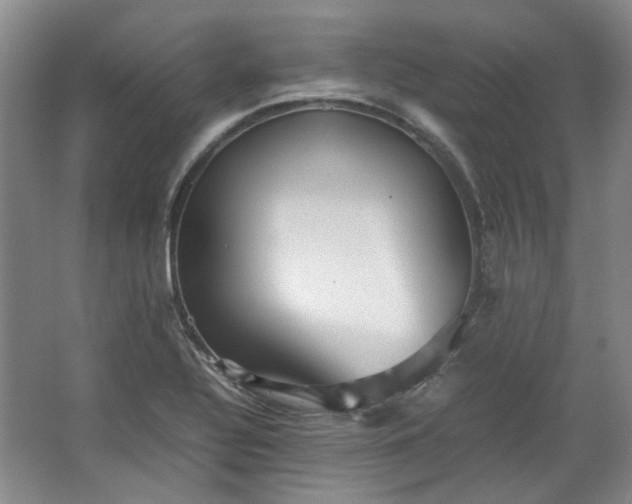 X0000064041320200602101414