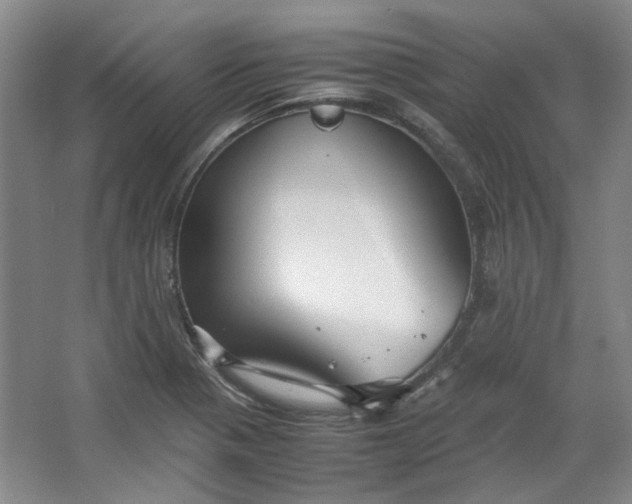 X0000064041321200602101414