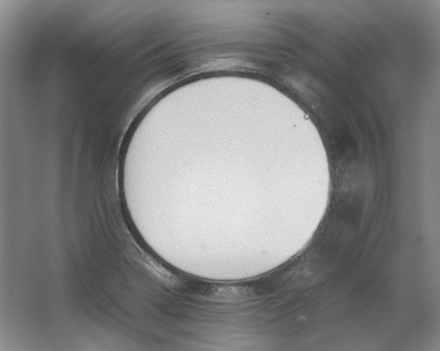 X0000064041322200602101414