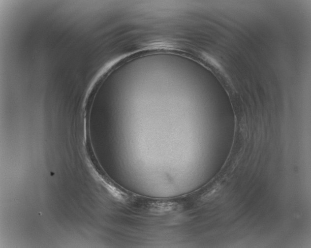 X0000064041323200602101414