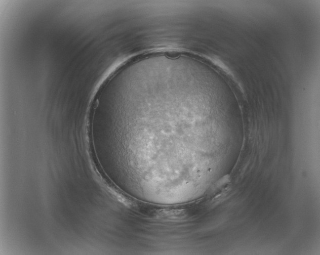 X0000064041325200602101414