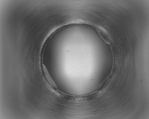 X0000064041326200602101414