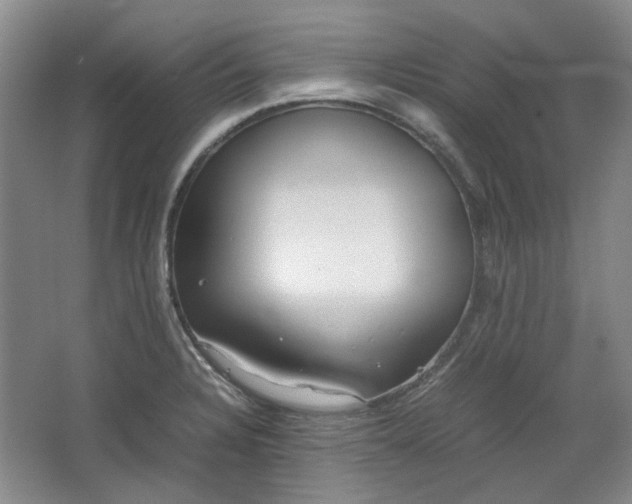 X0000064041328200602101414