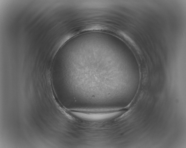 X0000064041329200602101414