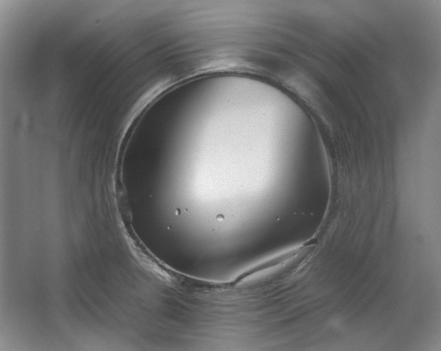 X0000064041330200602101414