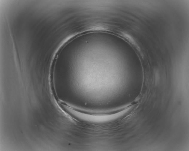 X0000064041331200602101414