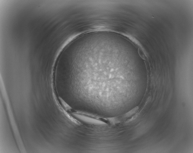 X0000064041333200602101414