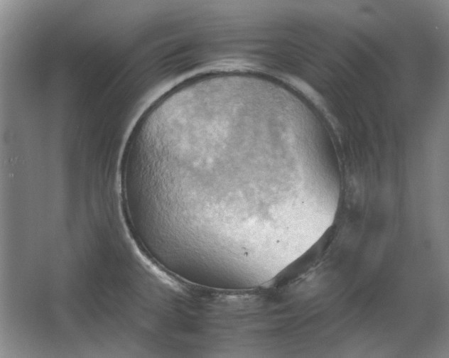 X0000064041335200602101415