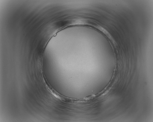 X0000064041337200602101415