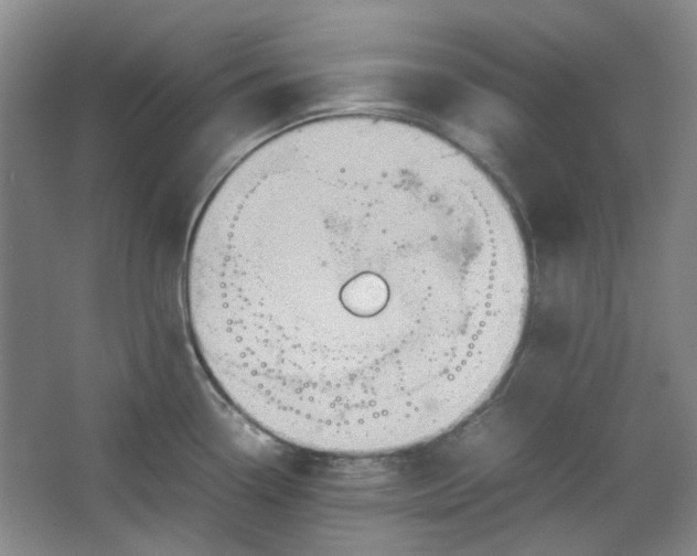 X0000064041338200602101415