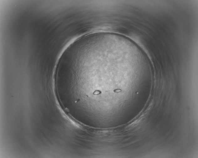 X0000064041341200602101415