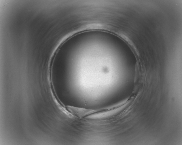 X0000064041342200602101415