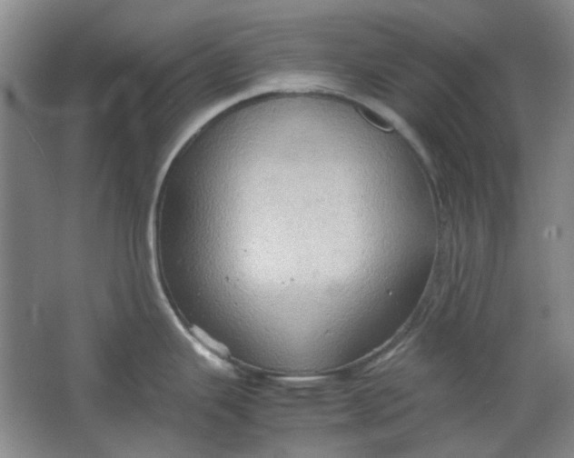 X0000064041343200602101415