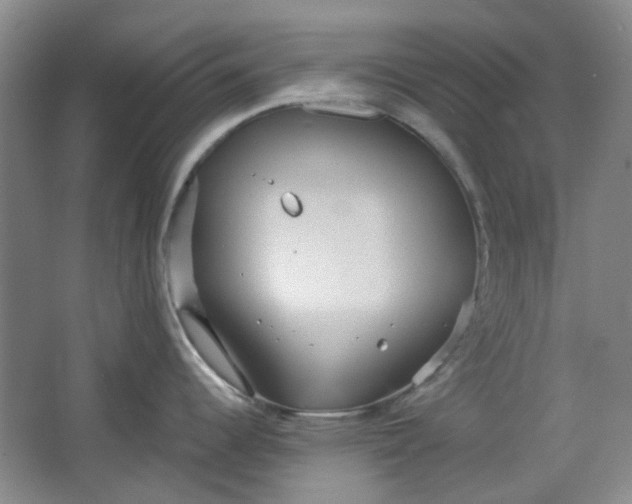 X0000064041344200602101415