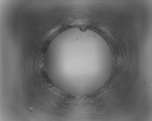 X0000064041350200602101414