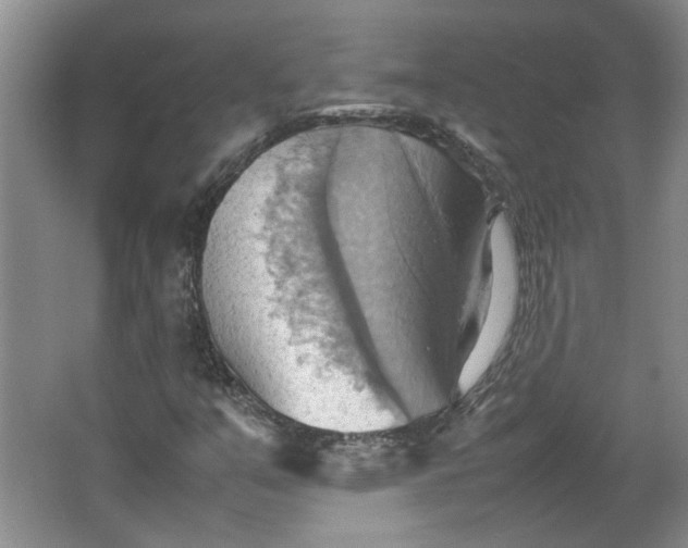 X0000064041351200602101414