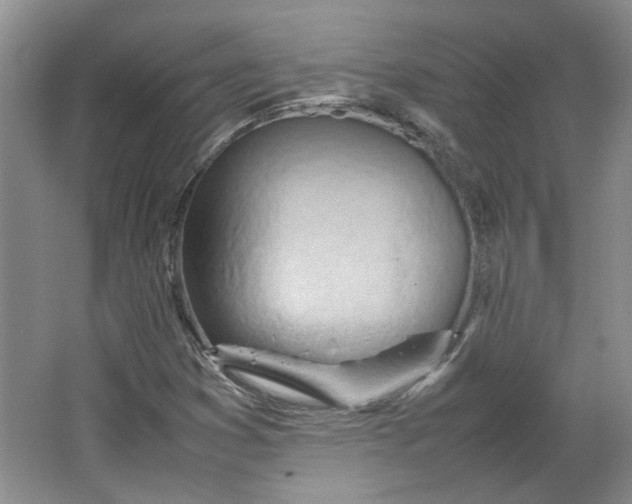 X0000064041353200602101414