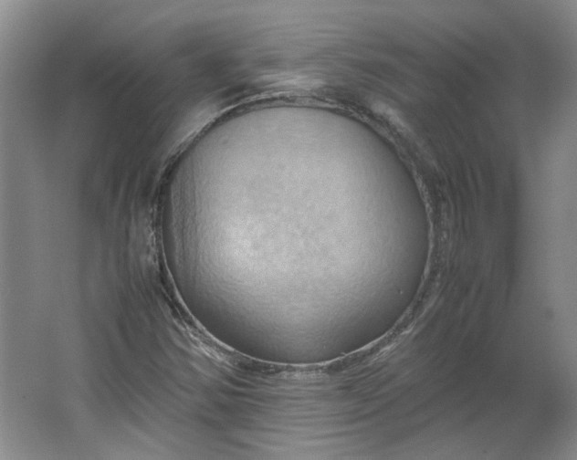 X0000064041354200602101414