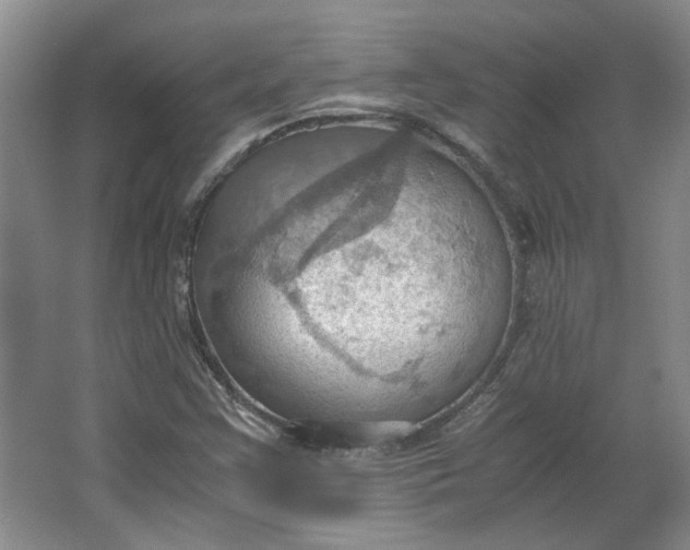 X0000064041355200602101414