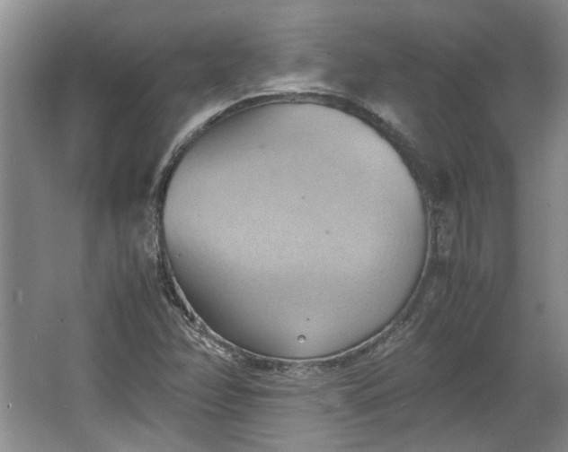 X0000064041358200602101414