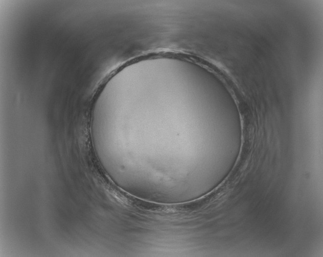 X0000064041359200602101414