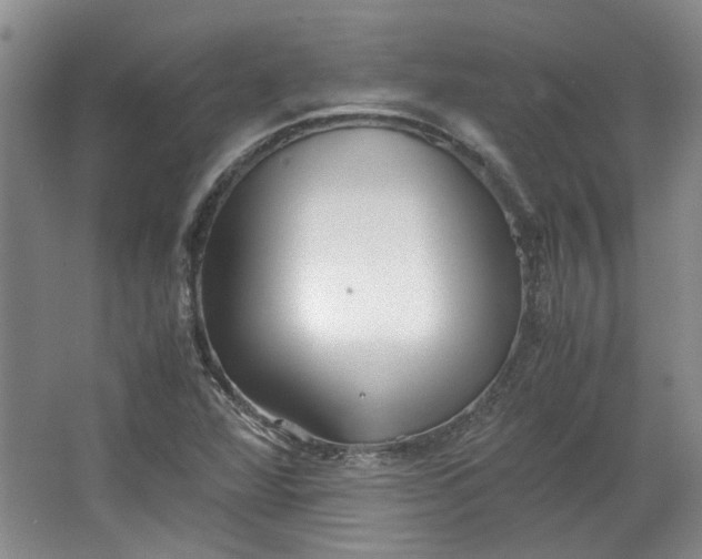 X0000064041360200602101414