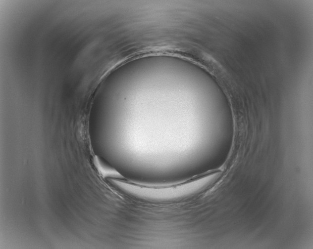 X0000064041361200602101414