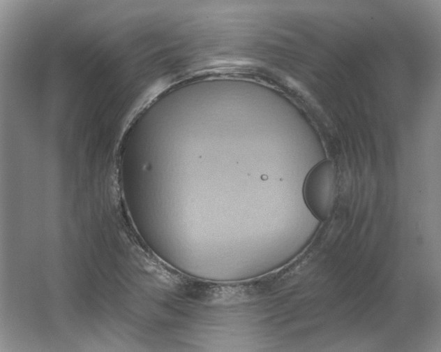 X0000064041362200602101414