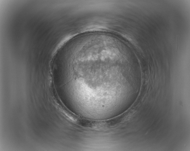 X0000064041363200602101414