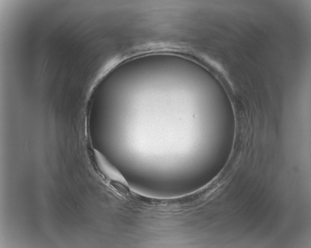 X0000064041365200602101414