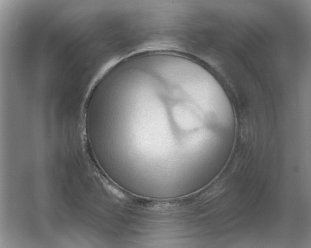 X0000064041366200602101413