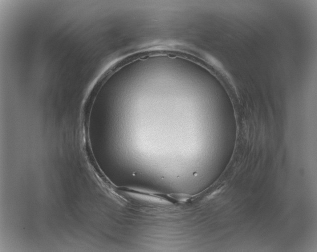 X0000064041368200602101413