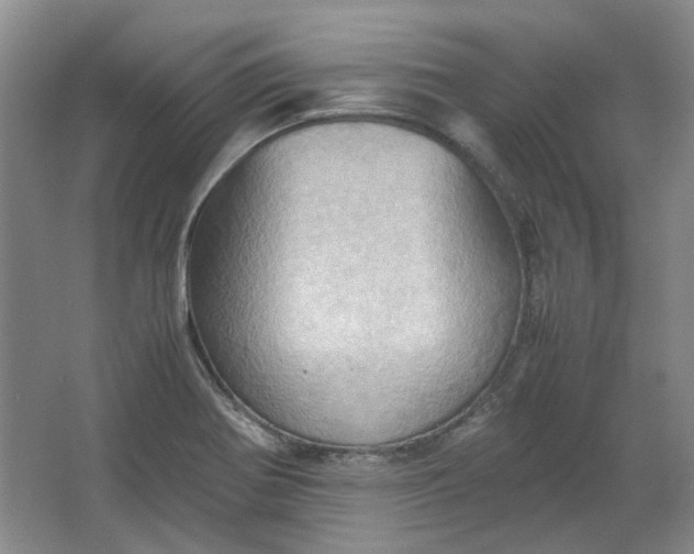 X0000064041370200602101413