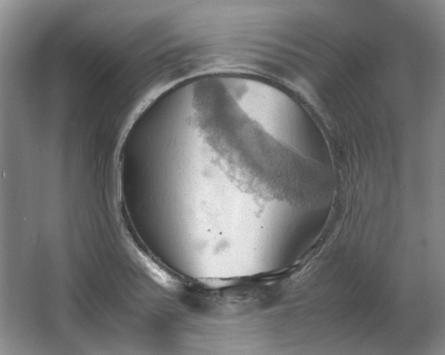 X0000064041371200602101413