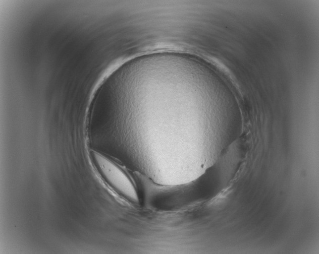 X0000064041373200602101413