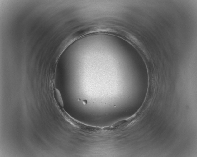 X0000064041377200602101413