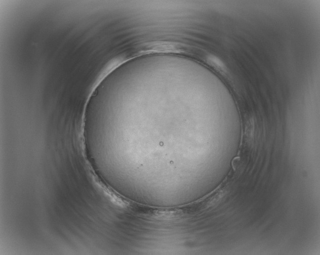 X0000064041378200602101413