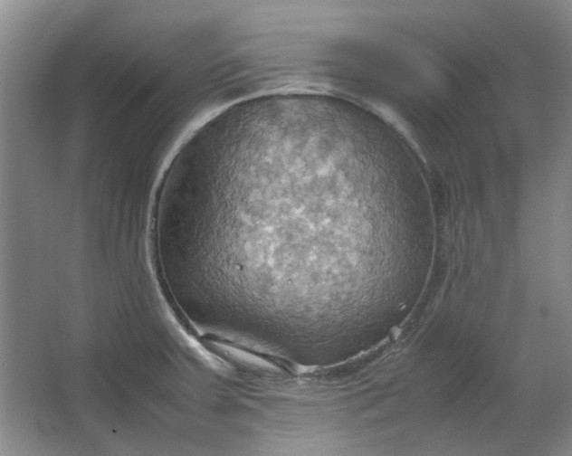 X0000064041379200602101413