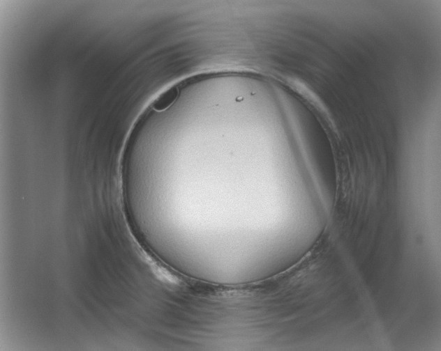 X0000064041380200602101413