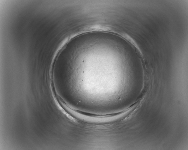 X0000064041381200602101413