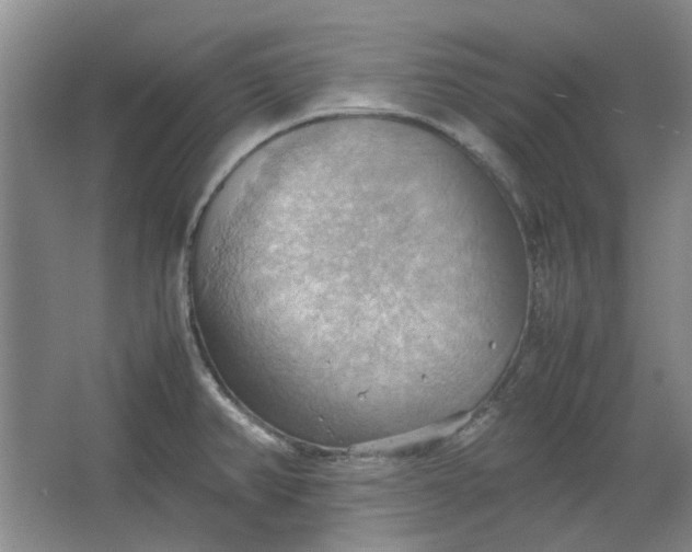 X0000064041382200602101413