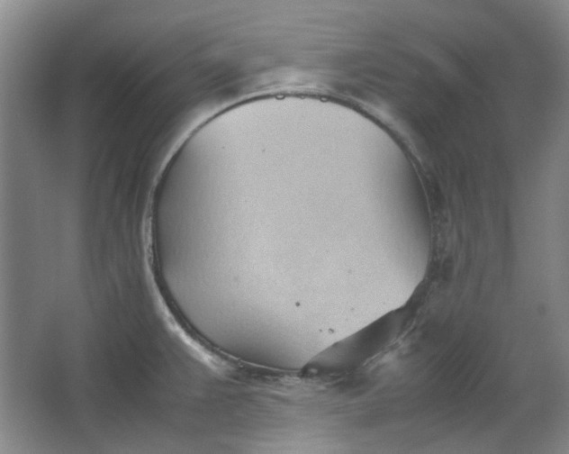 X0000064041383200602101413