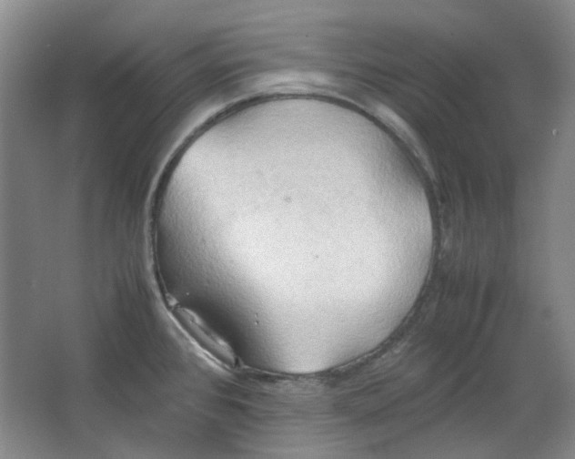 X0000064041384200602101413