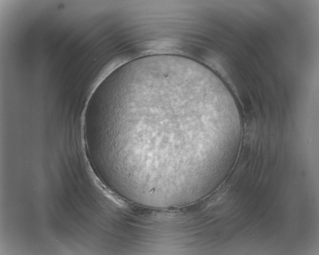 X0000064041386200602101413