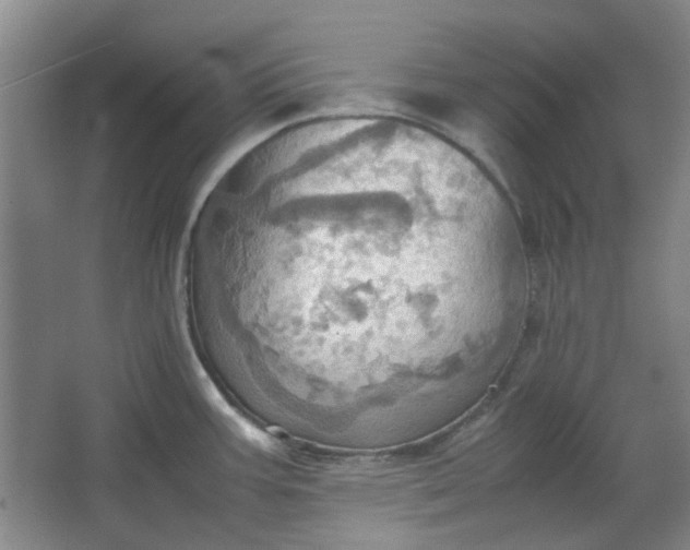 X0000064041387200602101413