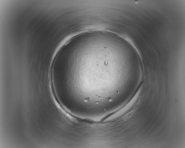 X0000064041389200602101413