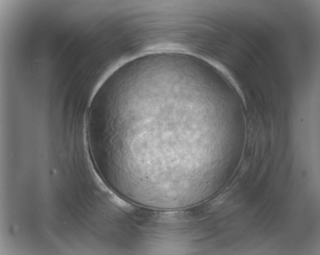 X0000064041390200602101413